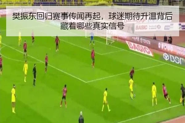 樊振东回归赛事传闻再起，球迷期待升温背后藏着哪些真实信号 | kaiyun